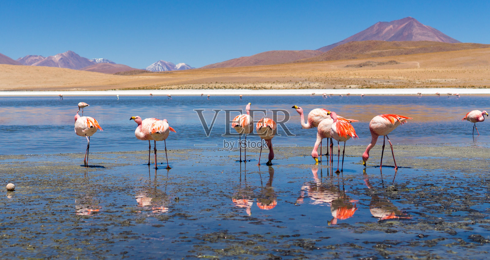 盐沼,玻利维亚照片摄影图片