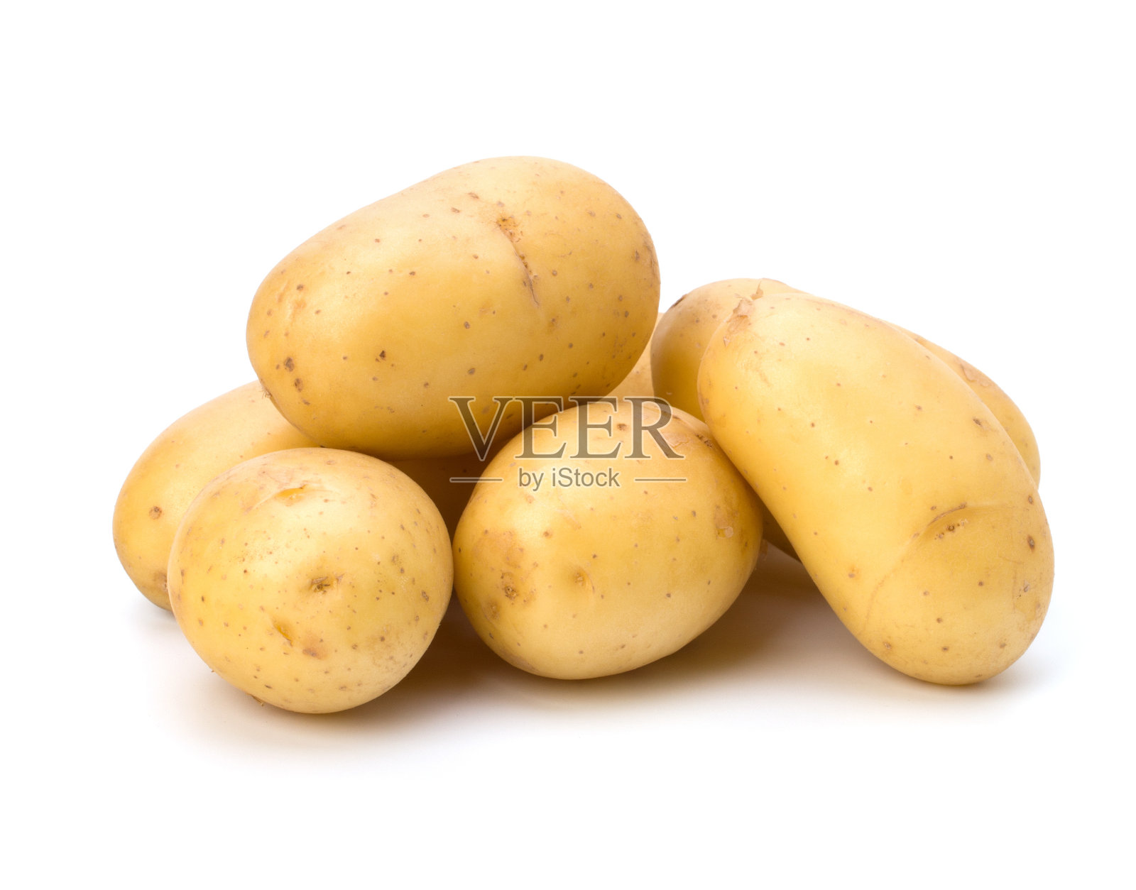 新土豆照片摄影图片