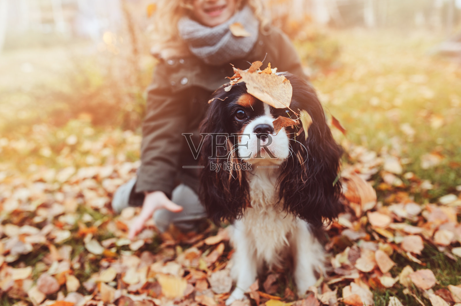 快乐的小女孩在秋天和她的狗玩照片摄影图片