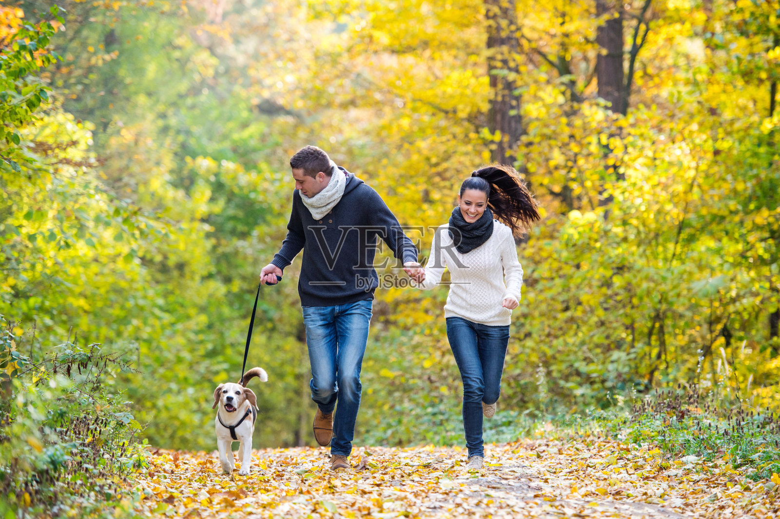 美丽的年轻夫妇和狗在秋天的森林里奔跑照片摄影图片