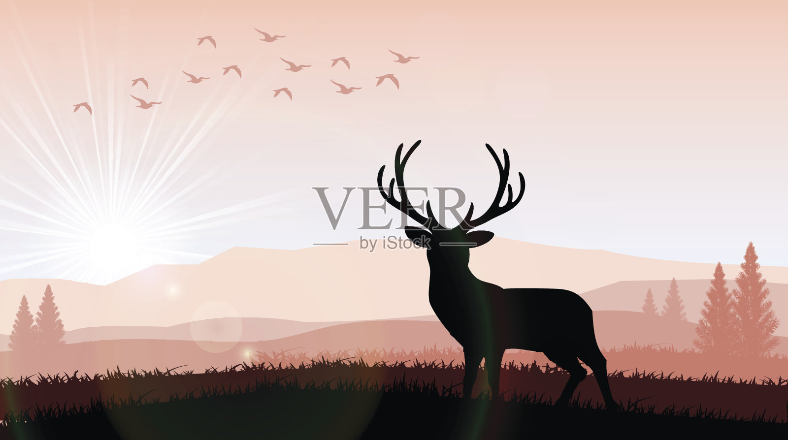 在明亮的夕阳下，一只正在进食的鹿的剪影插画图片素材