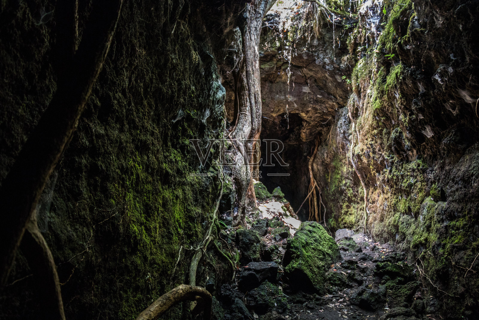 新西兰兰伊托岛的洞穴。照片摄影图片