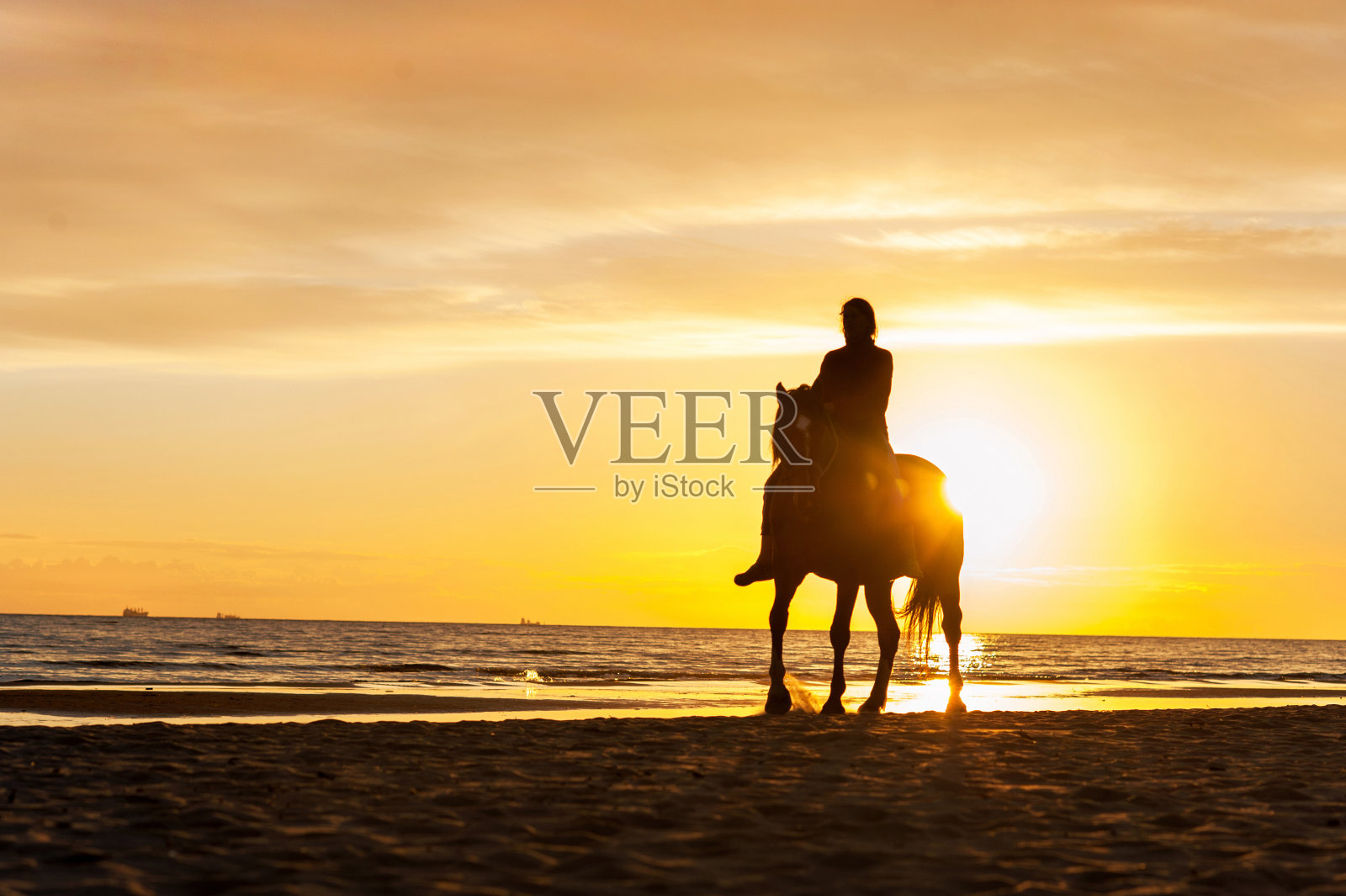 在日落背景的海滩骑马。五彩缤纷的户外形象。照片摄影图片
