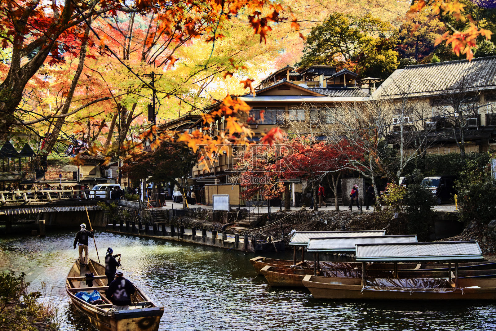 这是日本岚山的秋天照片摄影图片