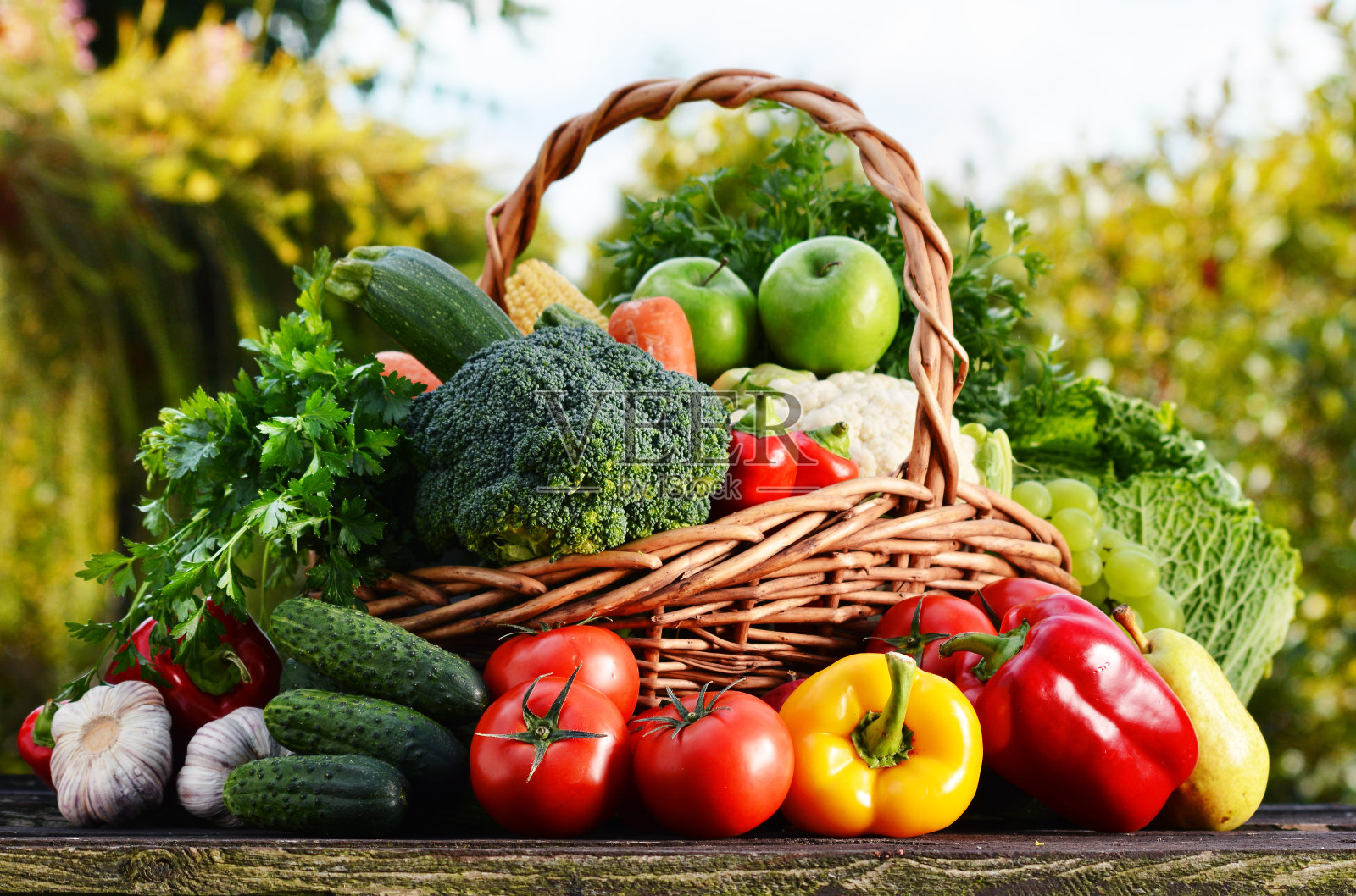 柳条篮子与各种生的有机蔬菜在花园里照片摄影图片