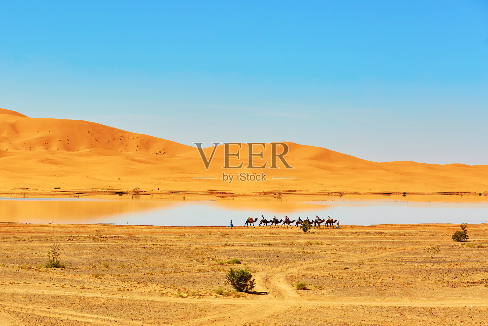 撒哈拉沙漠中的绿洲湖，Merzouga，非洲照片摄影图片