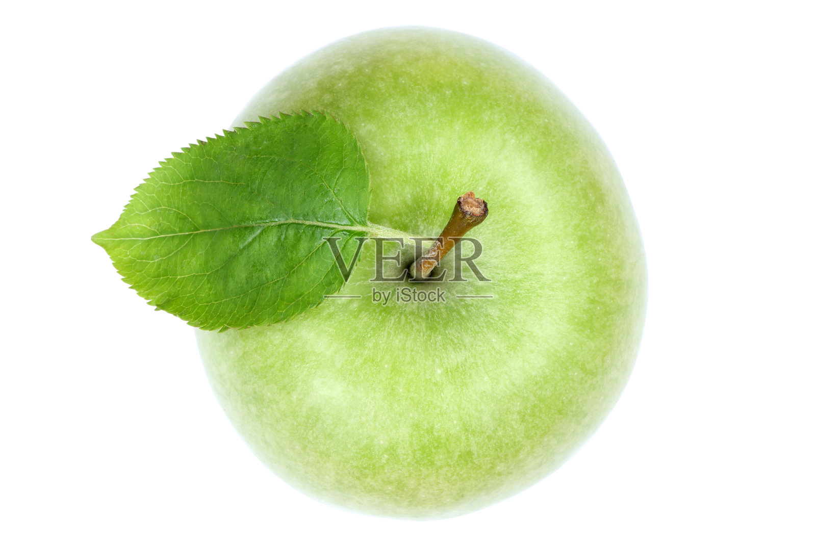 苹果果顶视图绿色孤立在白色照片摄影图片