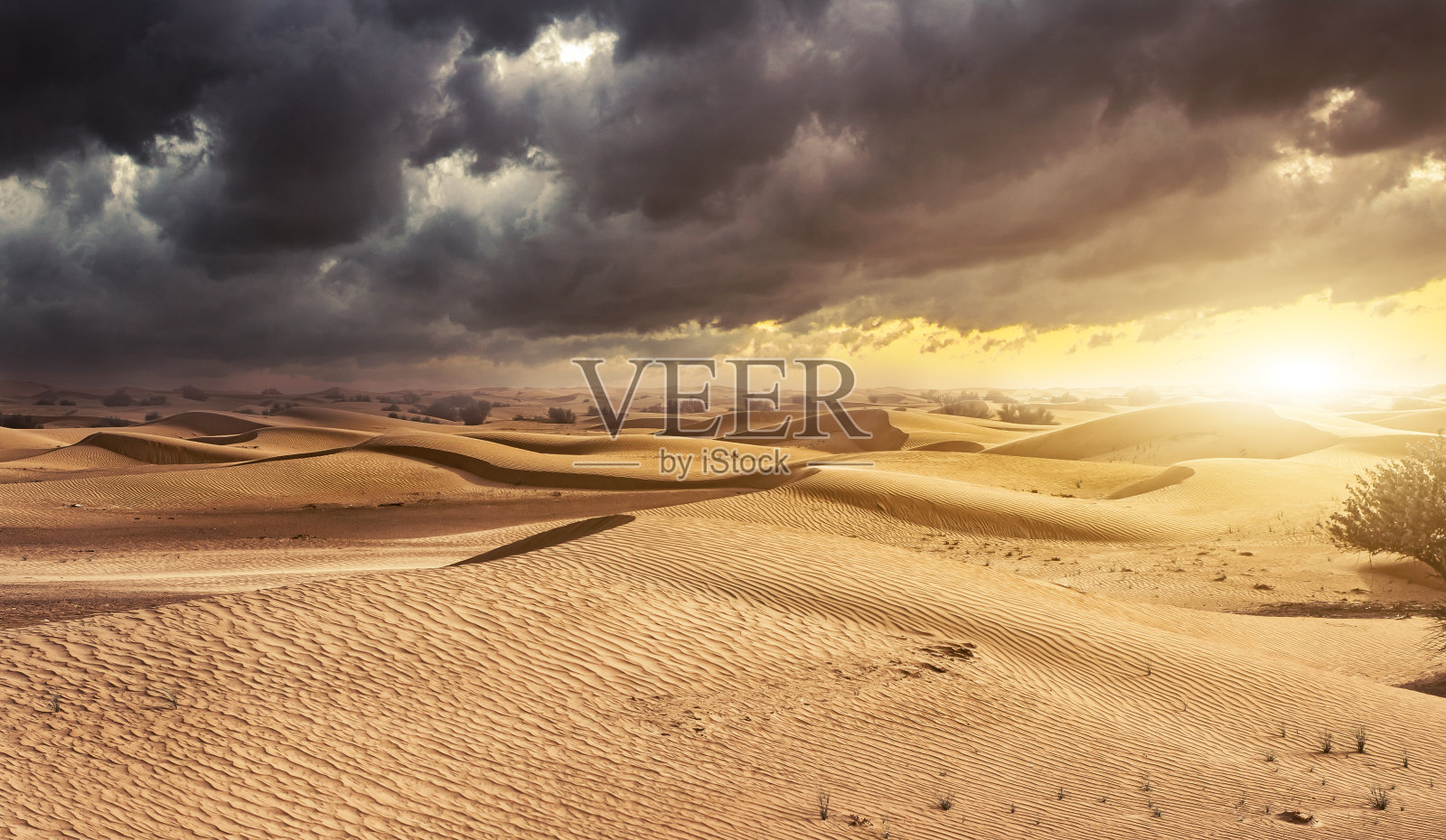 日落在沙漠沙丘的背景下照片摄影图片