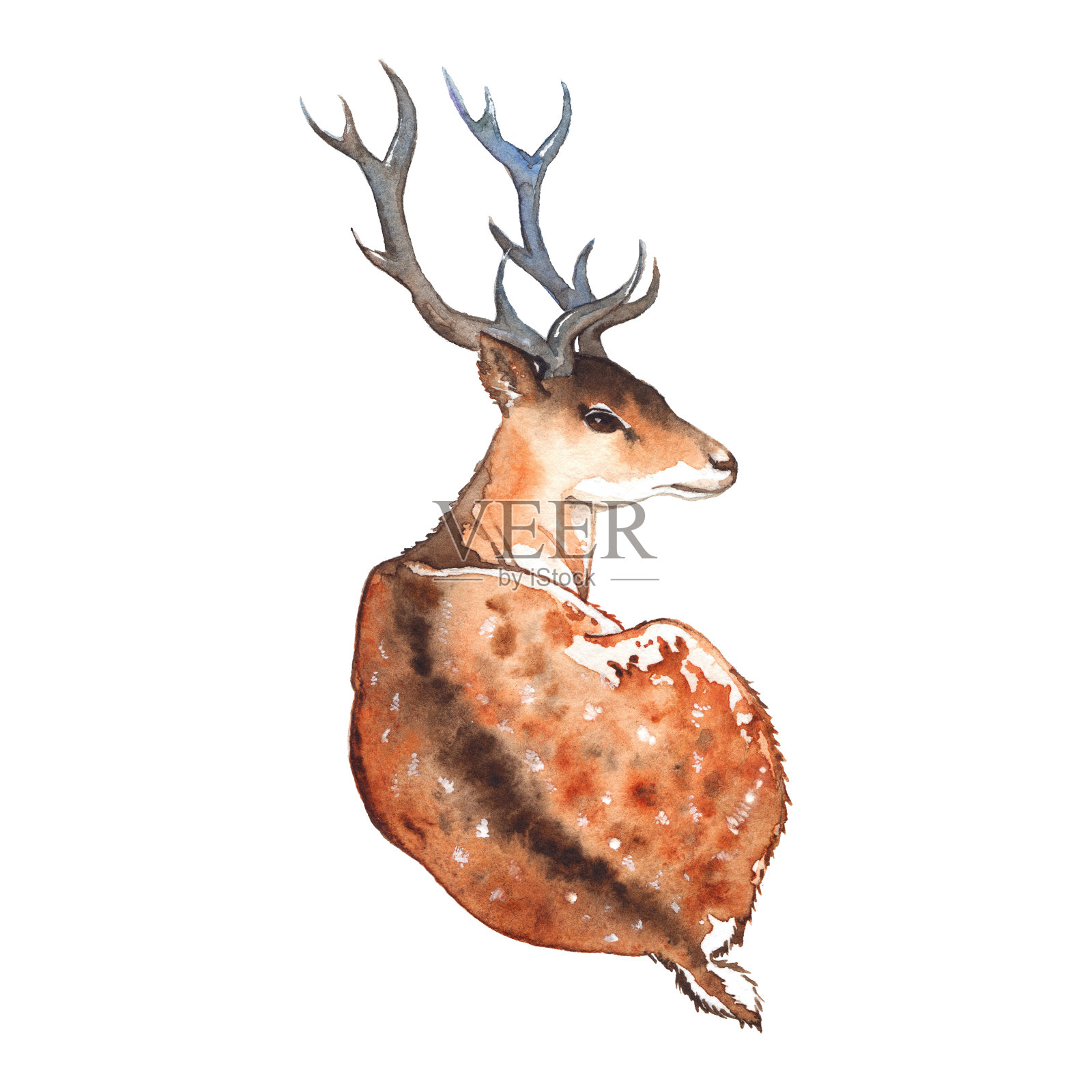 水彩鹿与角木动物孤立插画图片素材