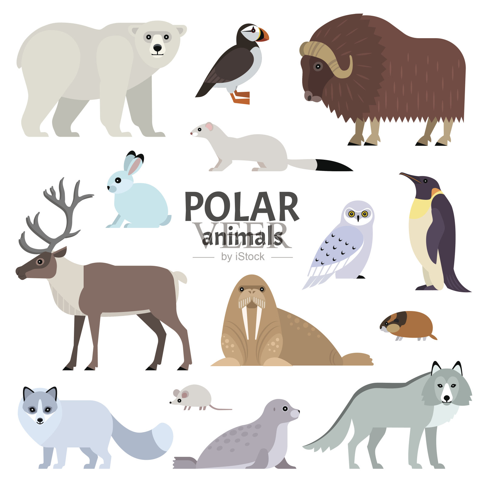 极地动物设计元素图片