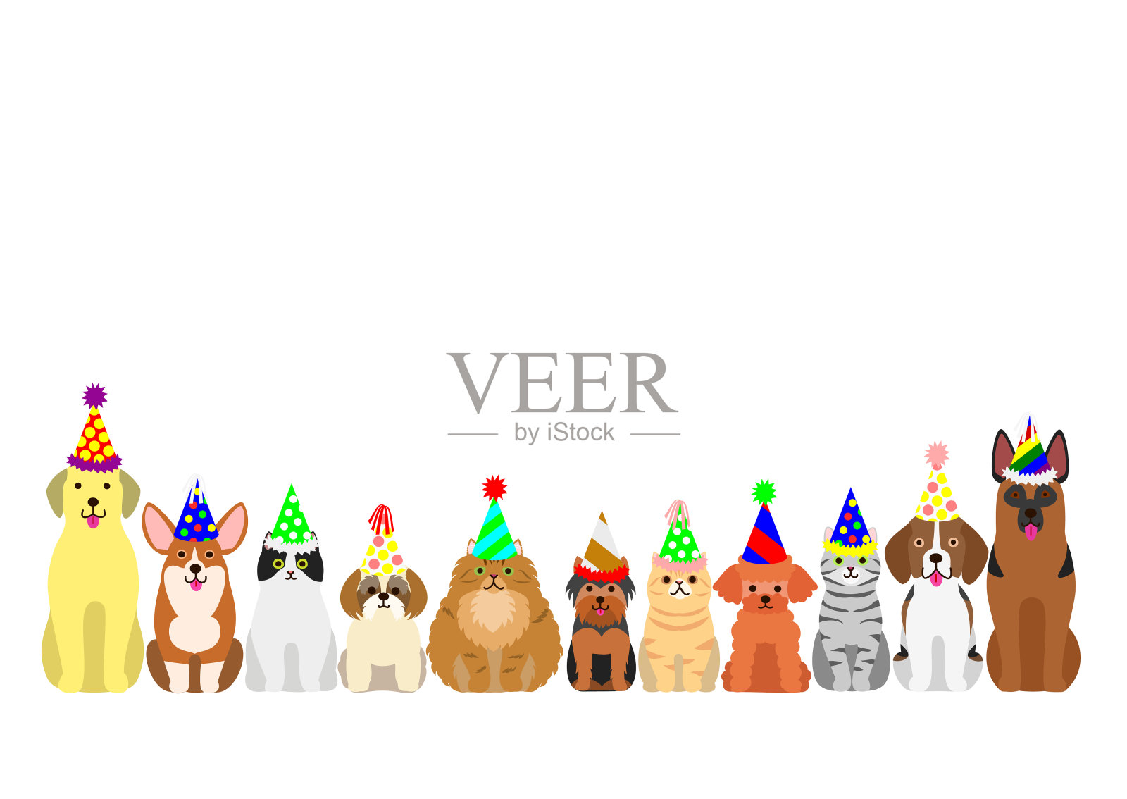 猫和狗边界设置与色彩缤纷的派对帽子插画图片素材