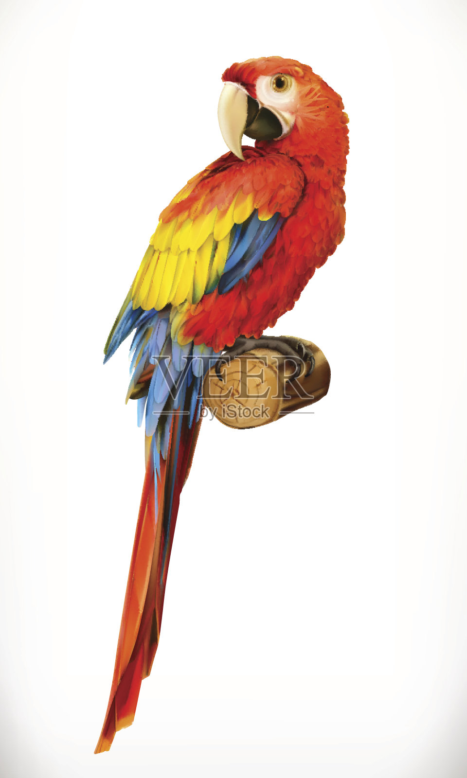 Ara鹦鹉。金刚鹦鹉。真实的照片。3 d矢量图标设计元素图片