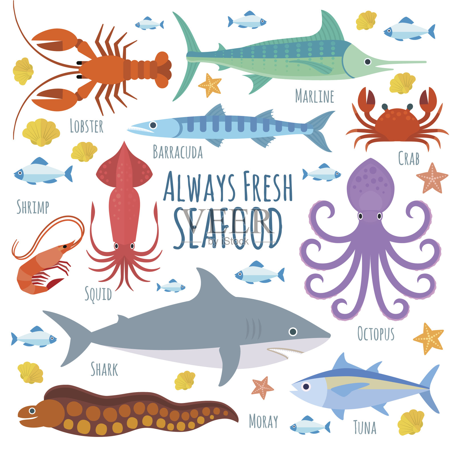 海洋生物插画图片素材