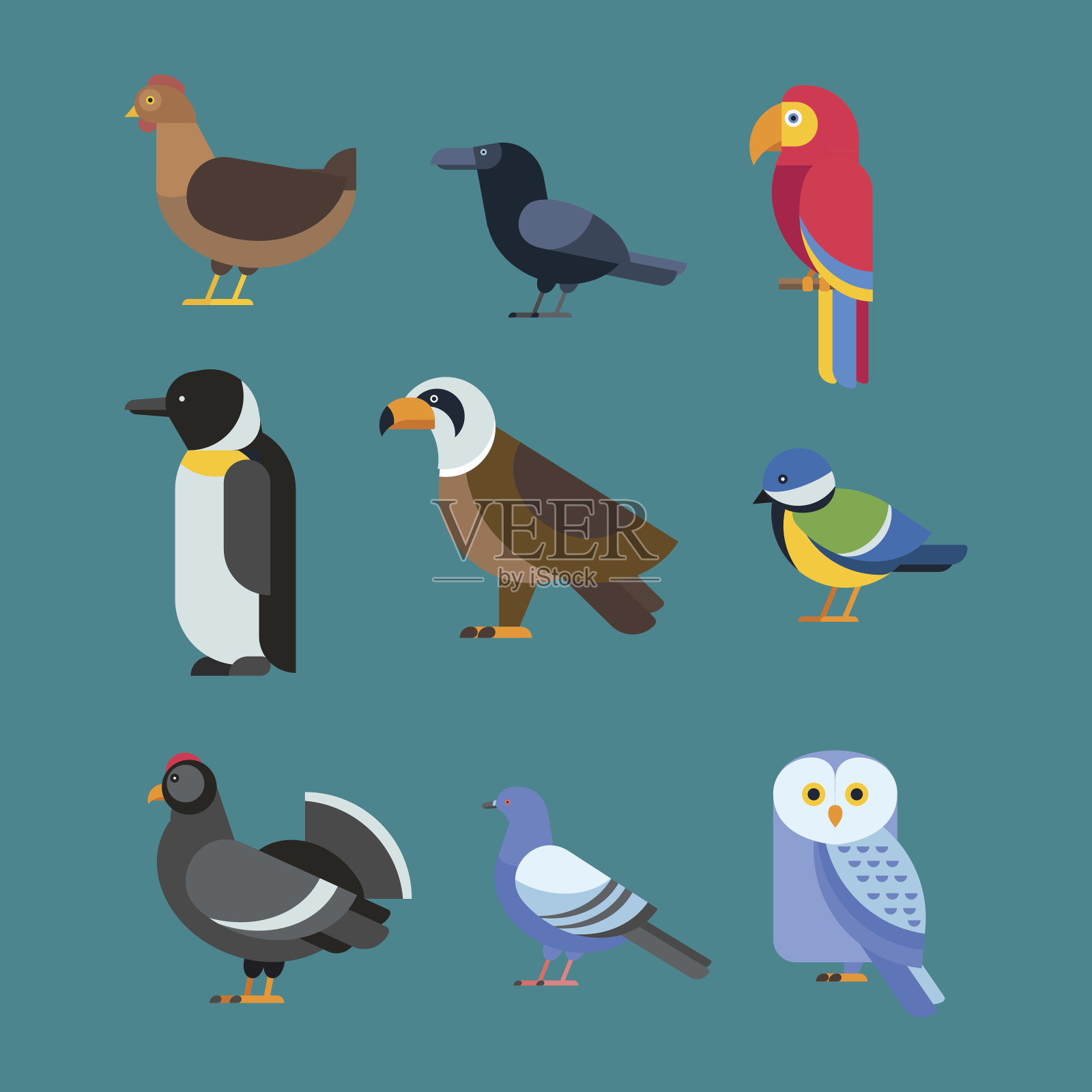 鸟类矢量集插图孤立设计元素图片