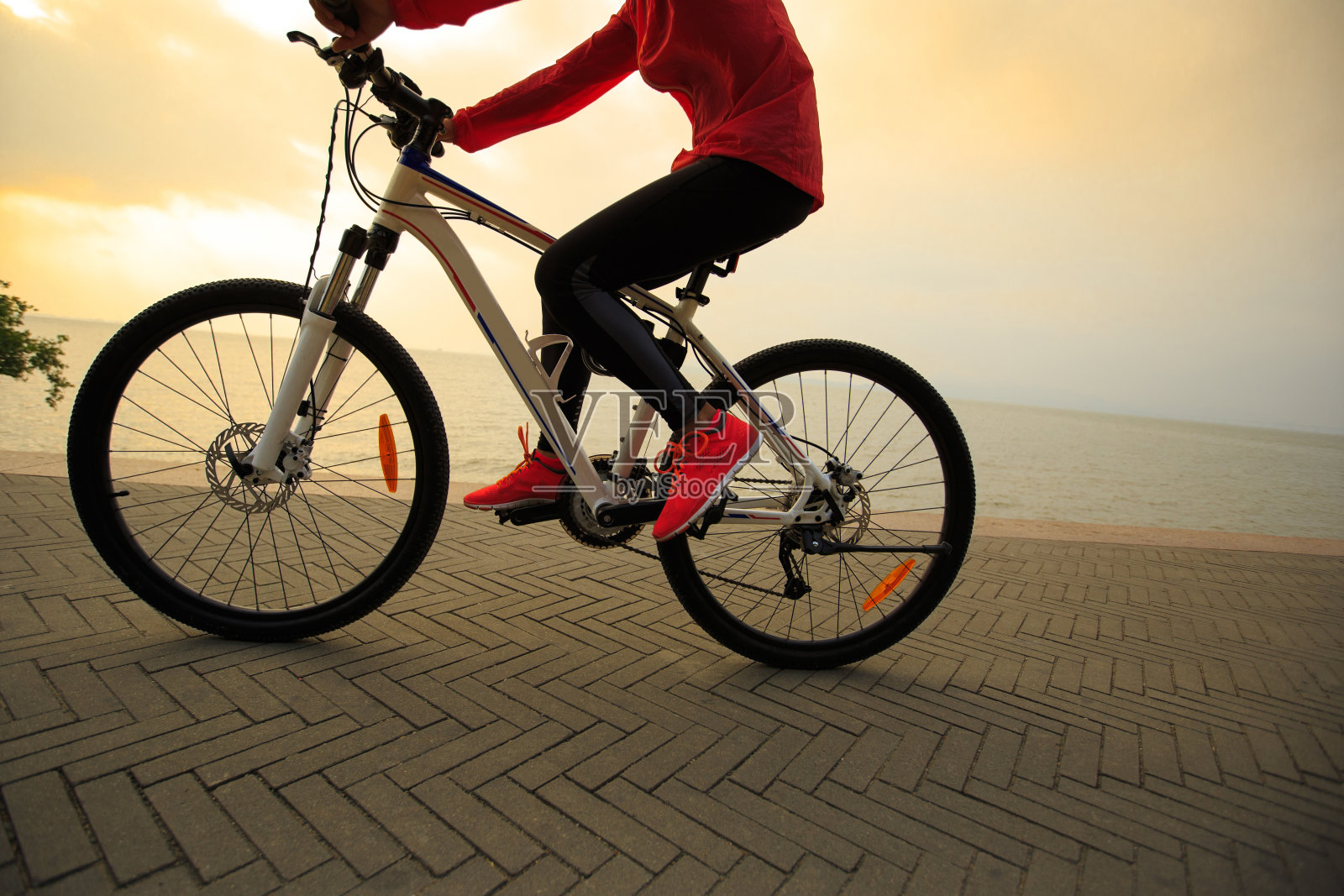 一个年轻的女人在海边骑自行车照片摄影图片