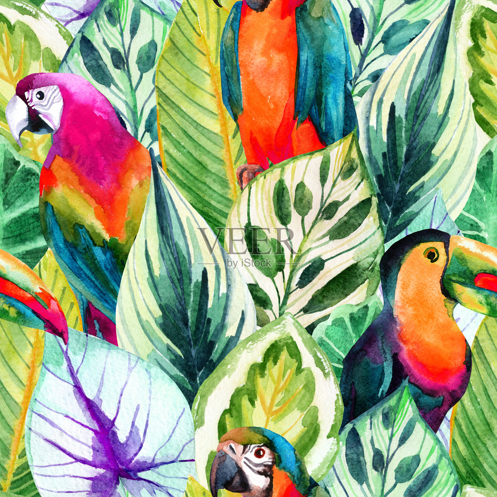 水彩鹦鹉和热带树叶无缝图案插画图片素材