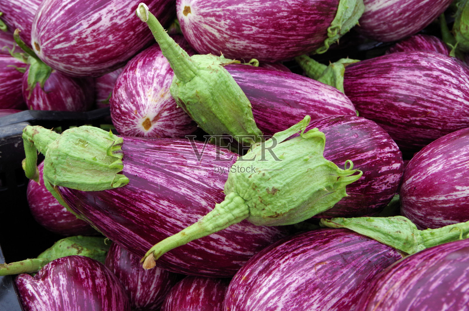 紫色带白色条纹的西西里茄子照片摄影图片