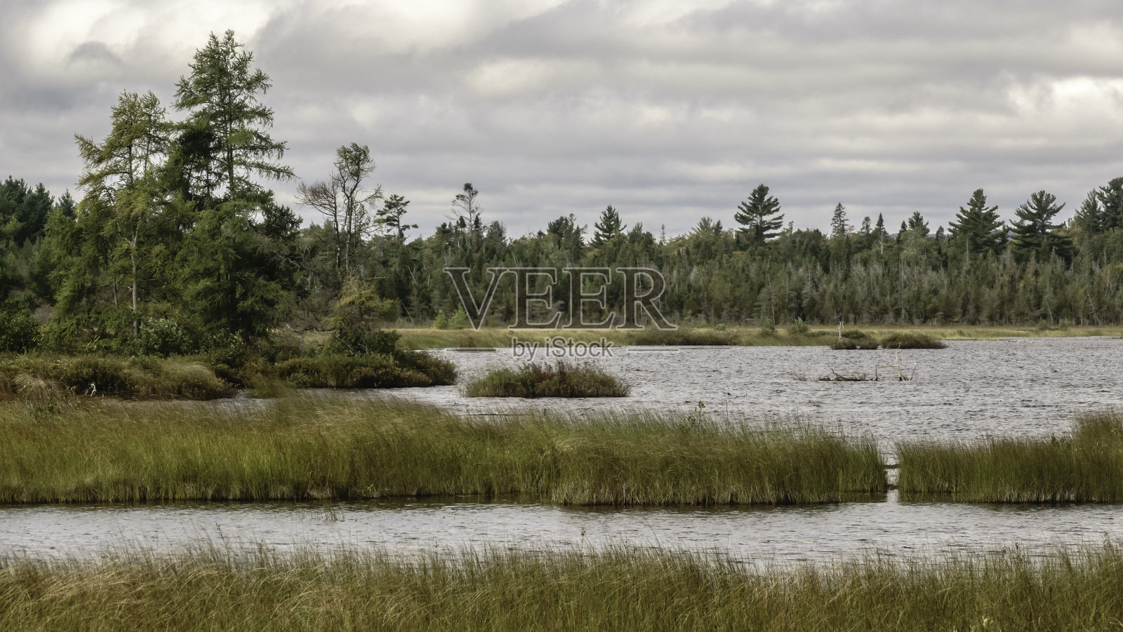 威斯康星州玛德琳岛的湿地照片摄影图片