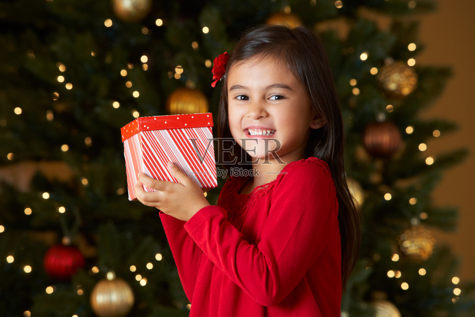 女孩拿着圣诞礼物与树的背景照片摄影图片