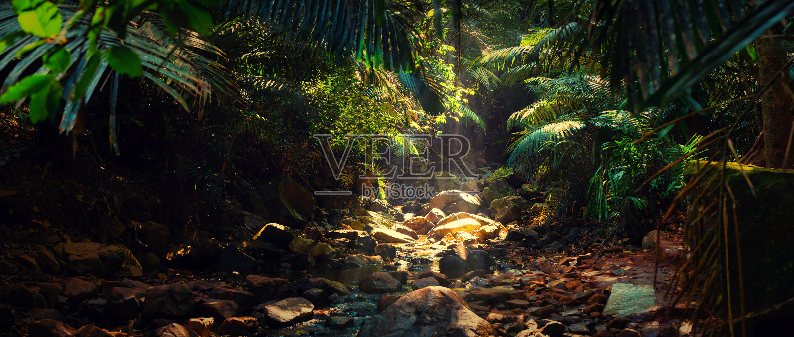 印度果阿丛林的山河全景照片摄影图片