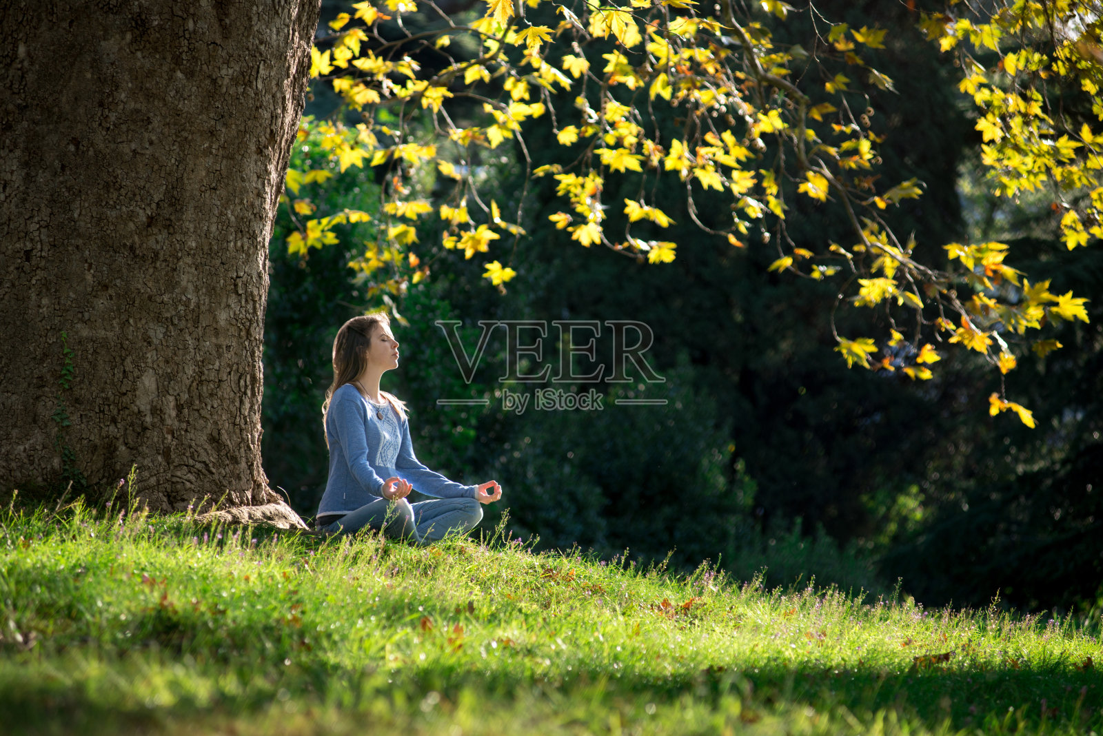 秋天的枫树下，女孩在草地上沉思照片摄影图片