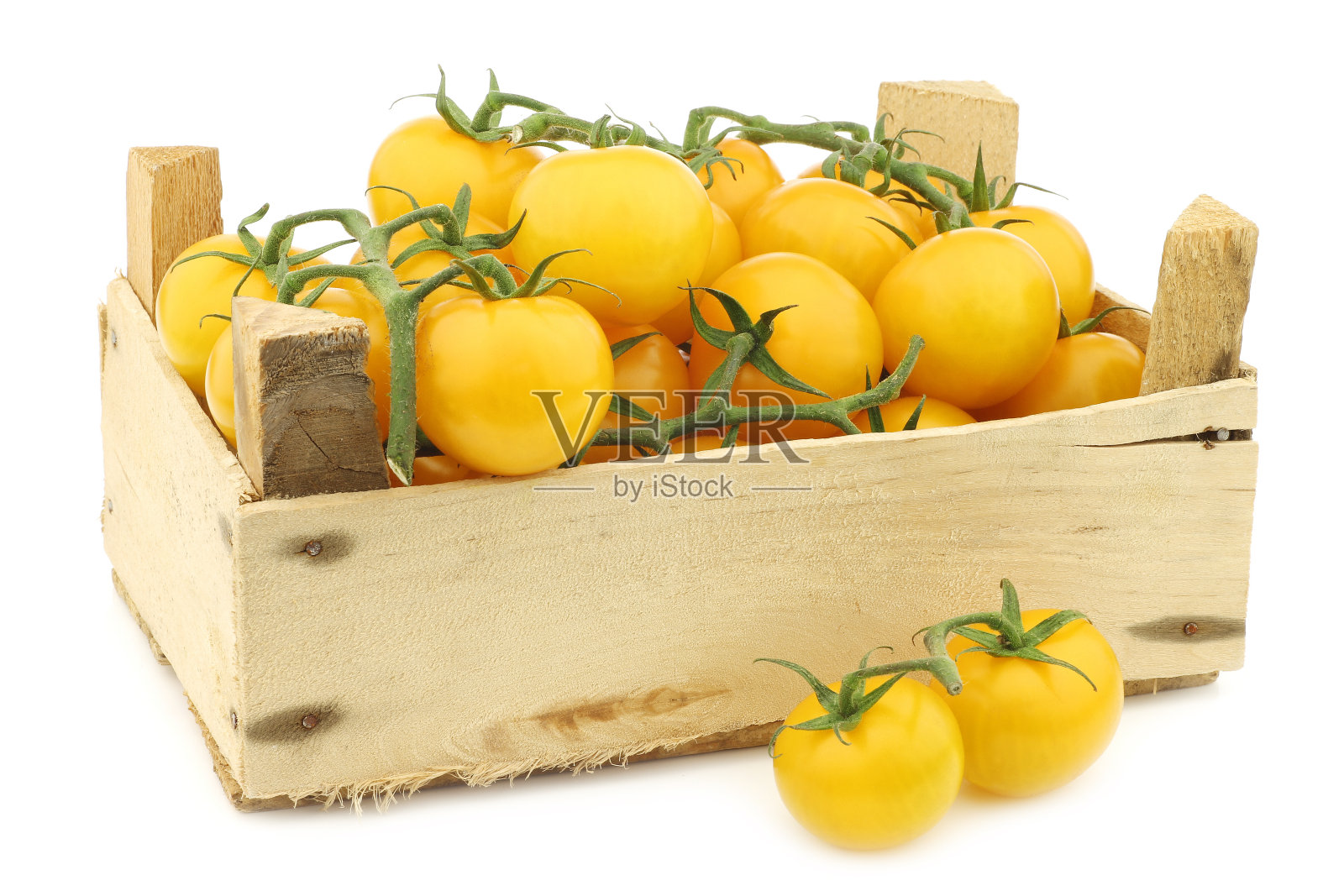 葡萄藤上挂着新鲜的荷兰黄色“美味汤姆”西红柿照片摄影图片