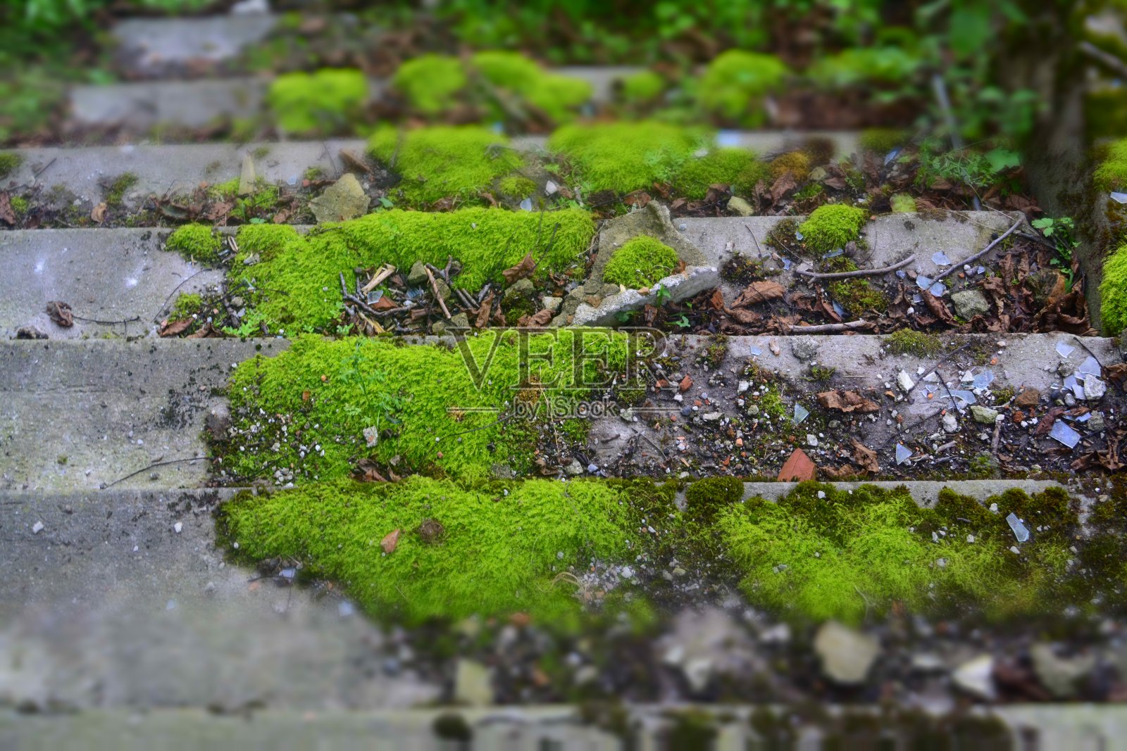 废弃的楼梯、苔藓照片摄影图片