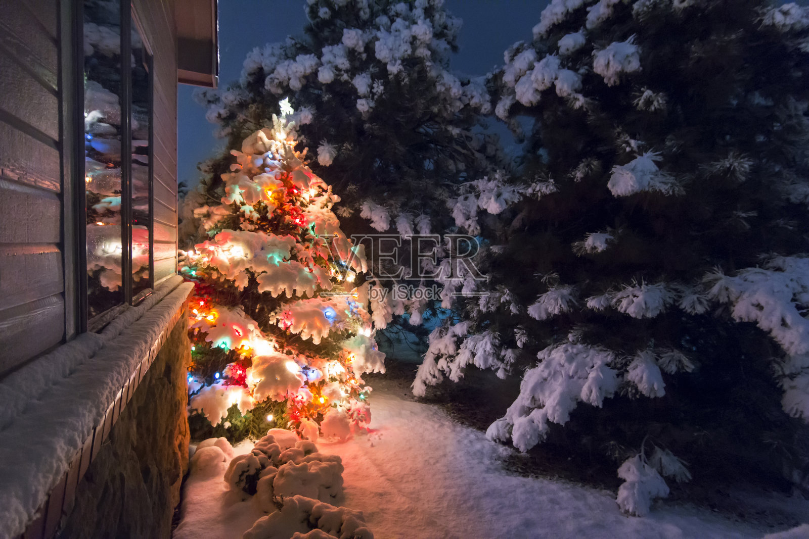 外面的圣诞树被白雪皑皑的灯光照亮照片摄影图片