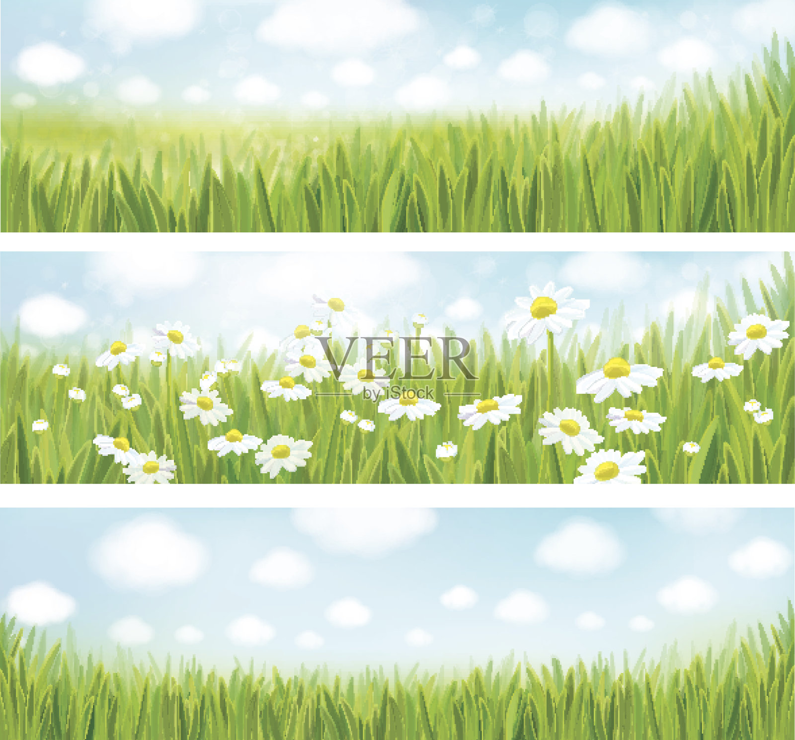 矢量夏季景观，蓝天，草地和洋甘菊。插画图片素材