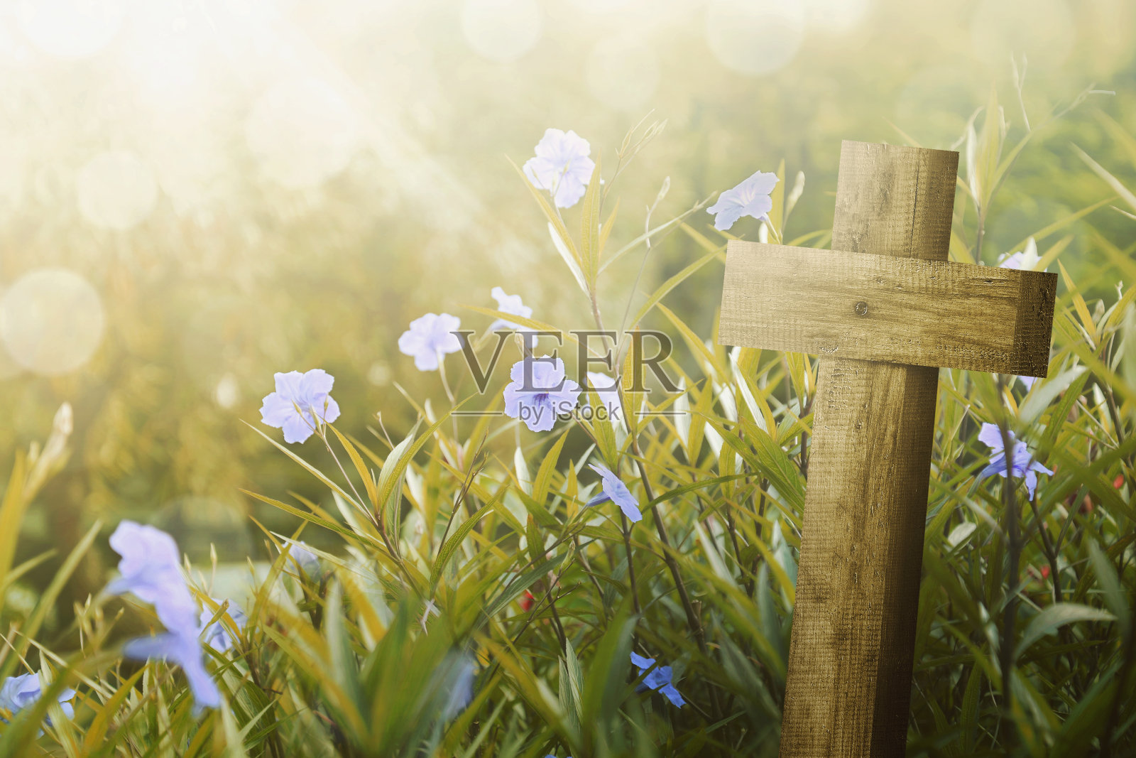 木制十字架和紫色的花与阳光照片摄影图片