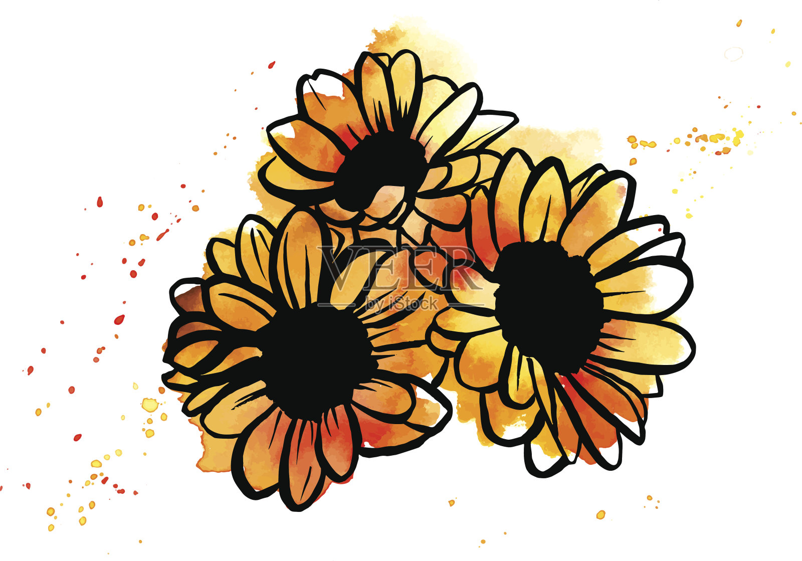 手绘向量和水彩画向日葵花束插画图片素材