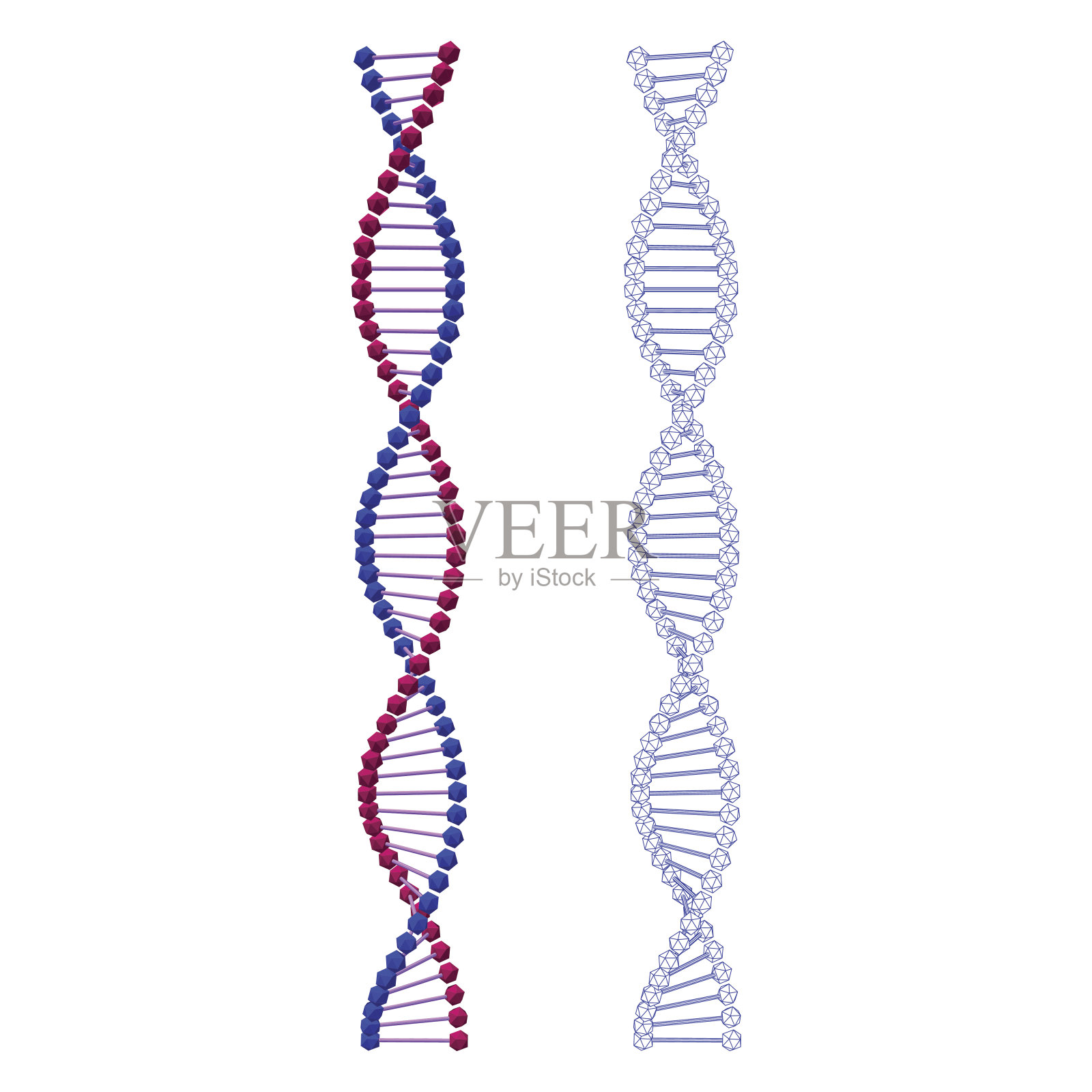 摘要DNA螺旋。孤立在白色背景上。设计元素图片