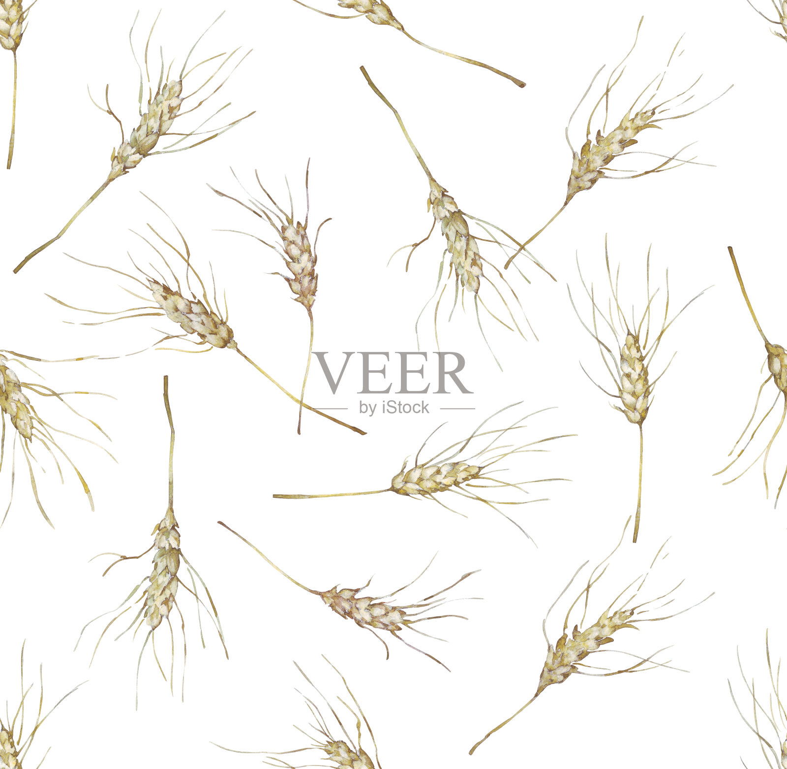 小麦穗的无缝模式插画图片素材