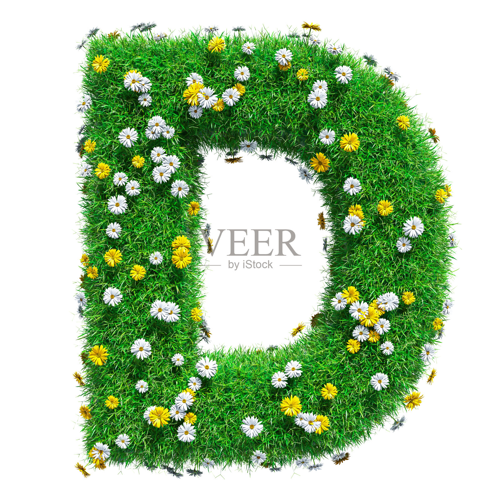 绿色的草和花的字母D照片摄影图片