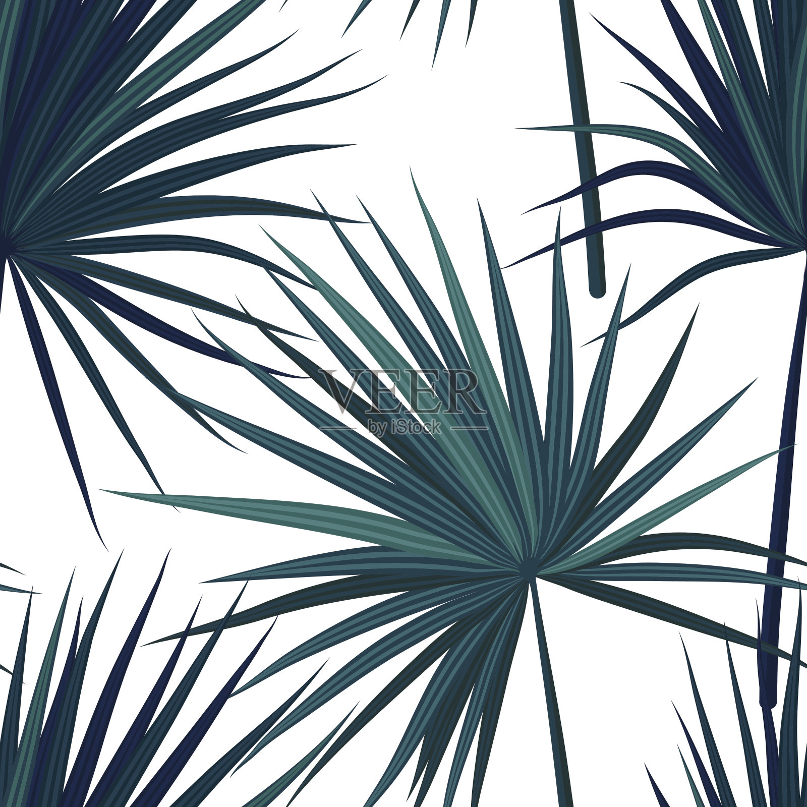 热带丛林植物背景。无缝矢量热带模式与绿色凤凰棕榈叶。矢量图插画图片素材