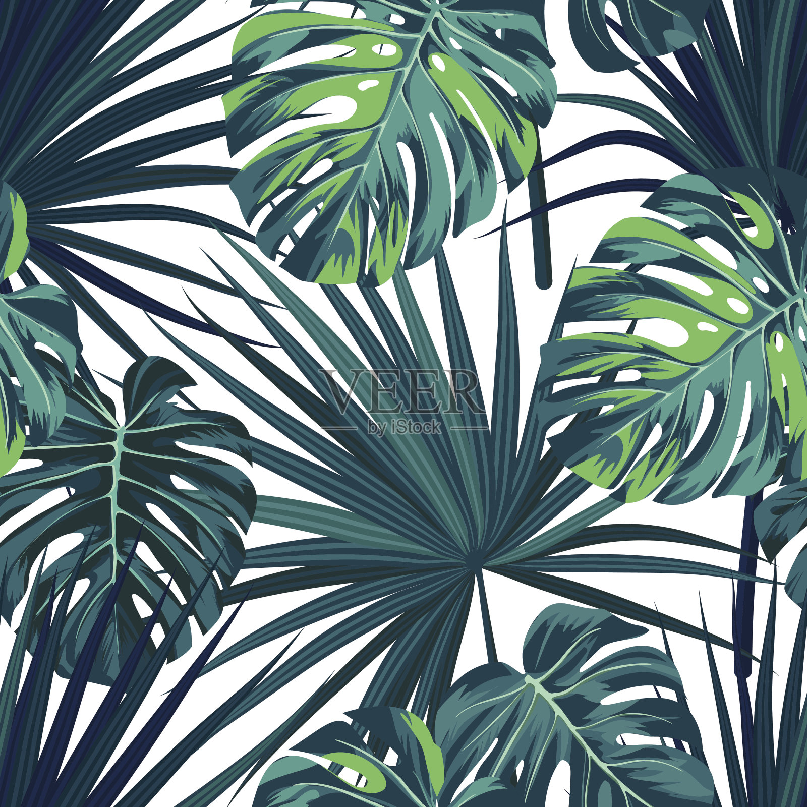 热带丛林植物背景。无缝矢量热带模式与绿色的sabal棕榈和怪兽叶插画图片素材