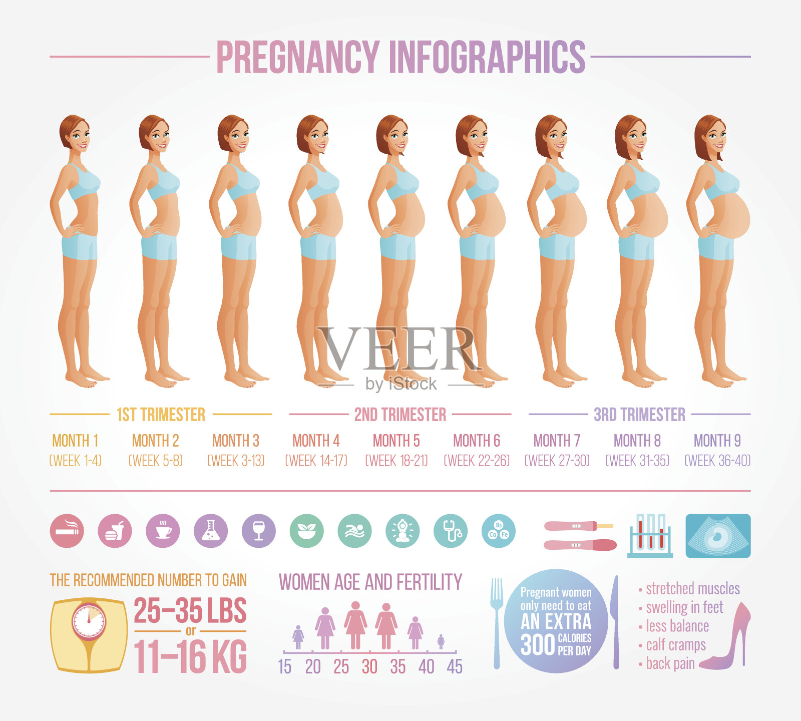 九个月的妊娠期。信息图表矢量集。插画图片素材