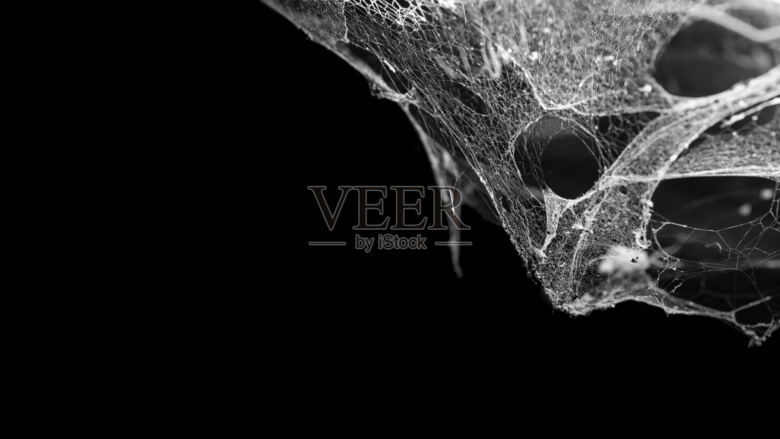 蜘蛛网或蜘蛛网孤立在黑色背景上照片摄影图片