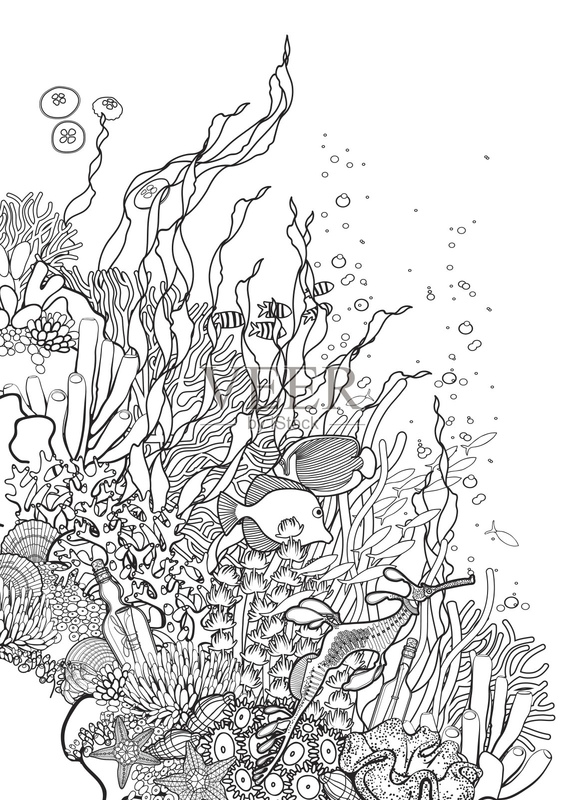 珊瑚礁的设计插画图片素材