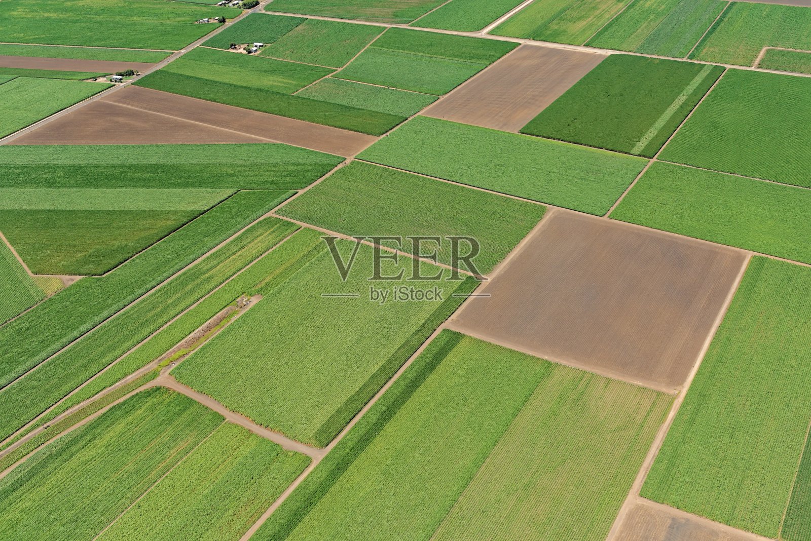 鸟瞰图附近的甘蔗田模式艾尔，北昆士兰，澳大利亚照片摄影图片