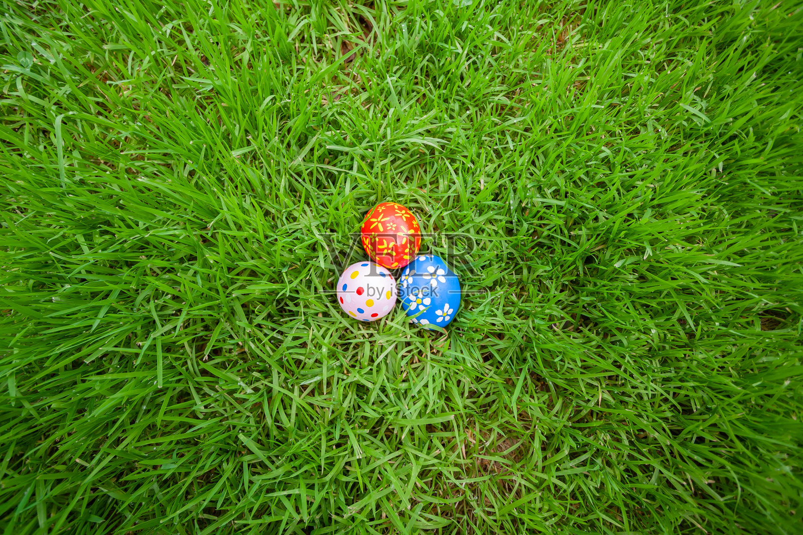 藏在草地上的手绘复活节彩蛋照片摄影图片