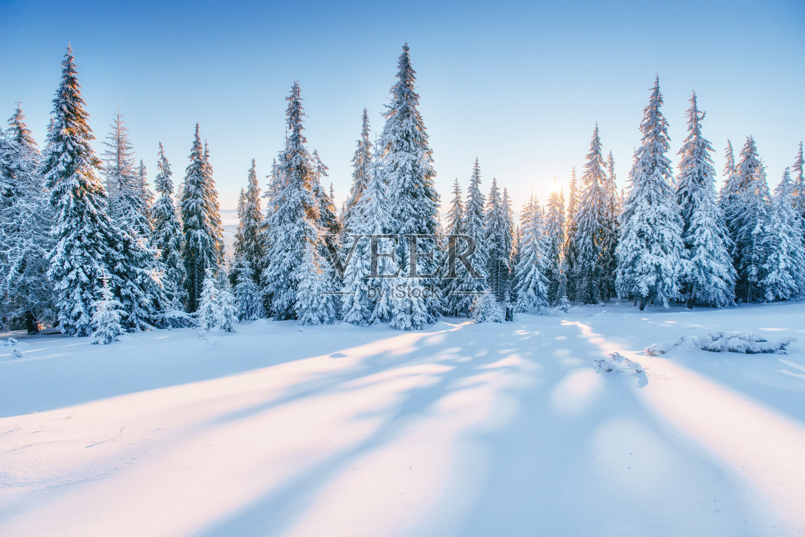神奇的冬季景观。神奇的日落在山上霜冻照片摄影图片