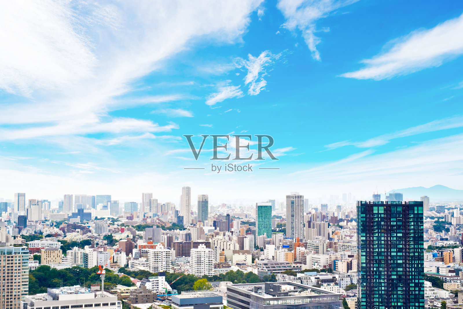 亚洲房地产和企业建筑的商业理念-现代城市景观建筑鸟瞰东京塔在日出和早晨的蓝天下，日本东京照片摄影图片
