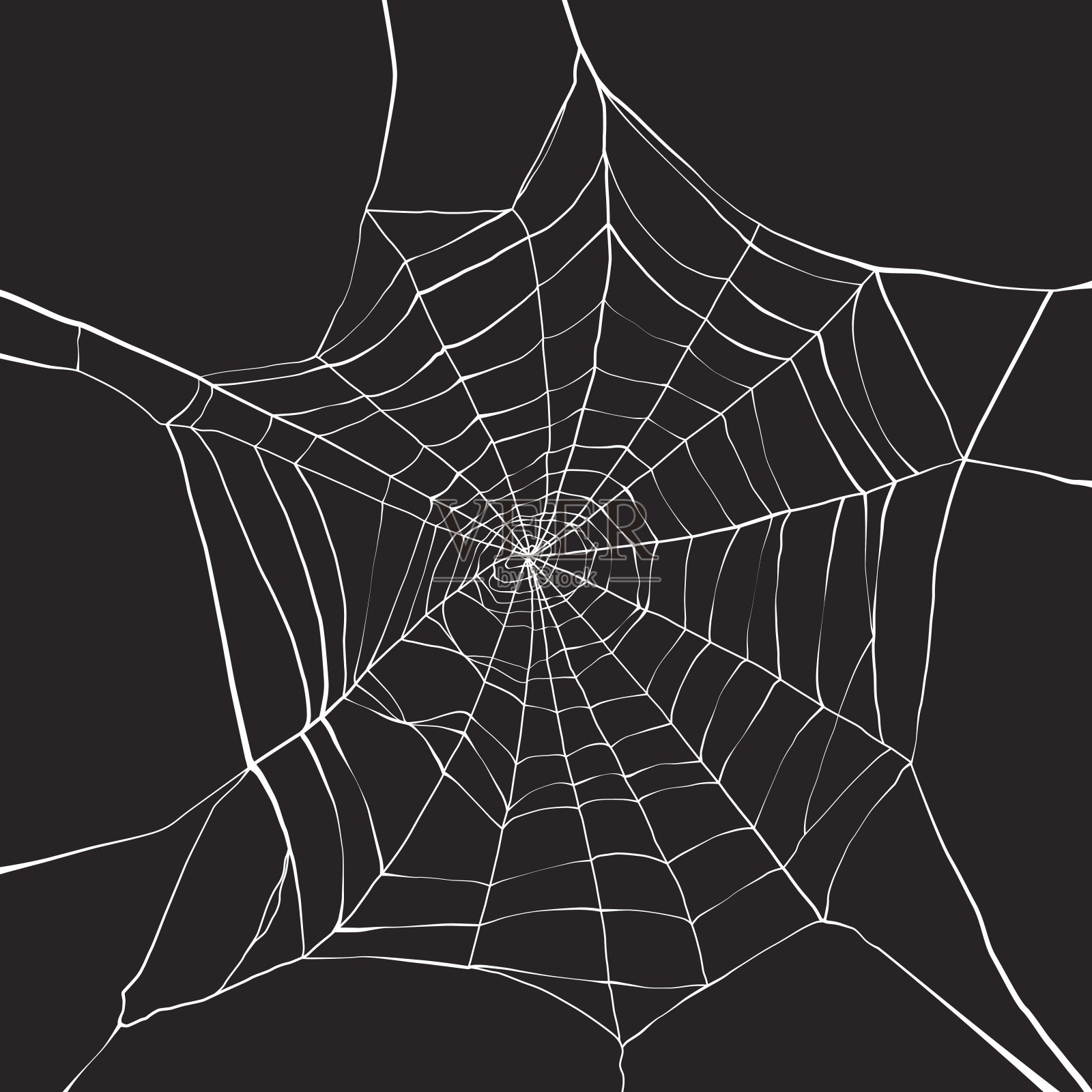 蜘蛛网插画图片素材