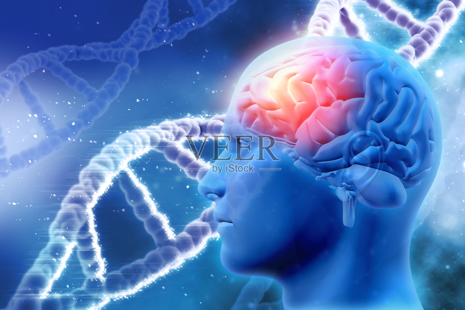 3D医学背景与大脑和DNA链照片摄影图片