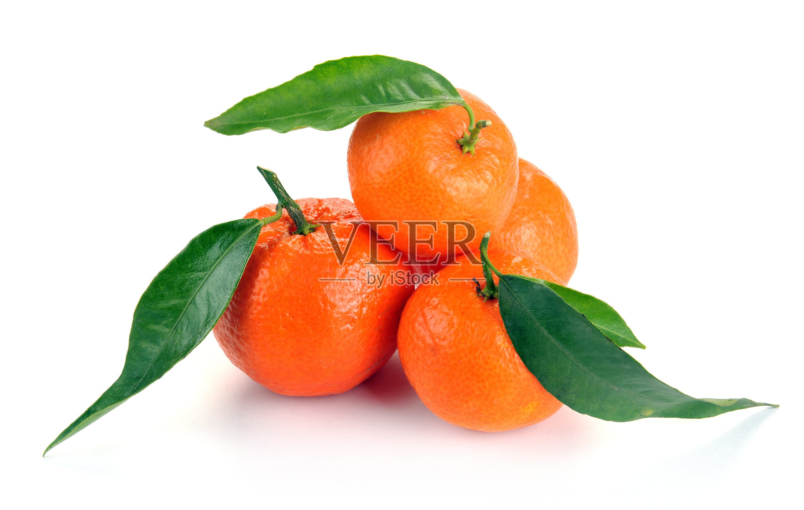 柑橘用树叶照片摄影图片