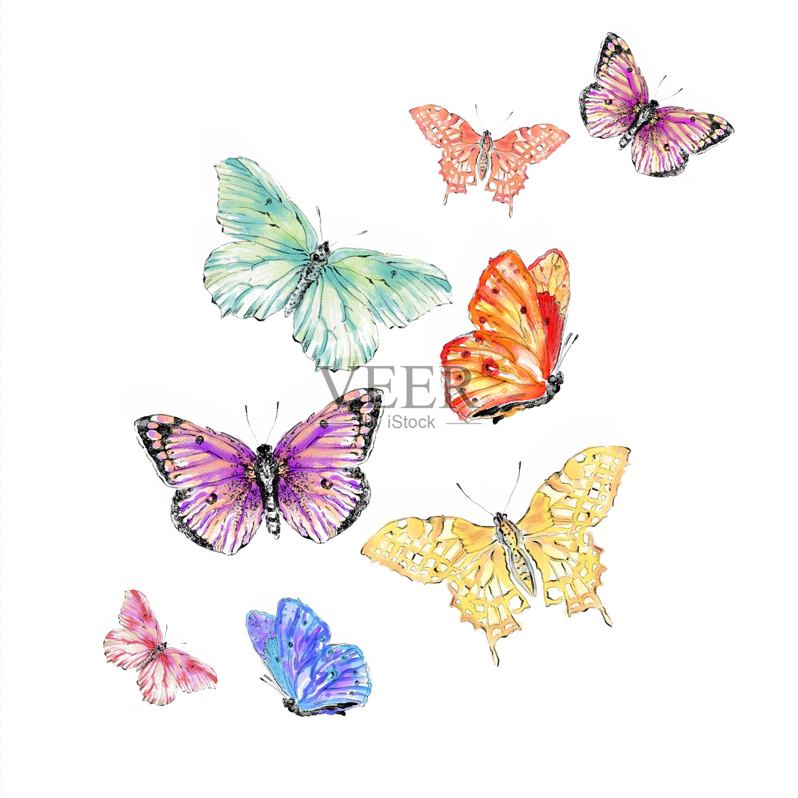 水彩彩色蝴蝶插图设计元素图片
