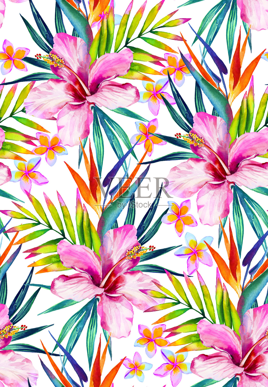 美丽的无缝图案与木槿，鸡蛋花和棕榈叶。插画图片素材