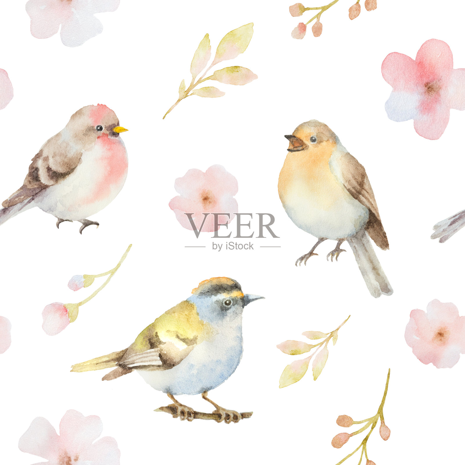 鸟和春花水彩无缝图案。插画图片素材
