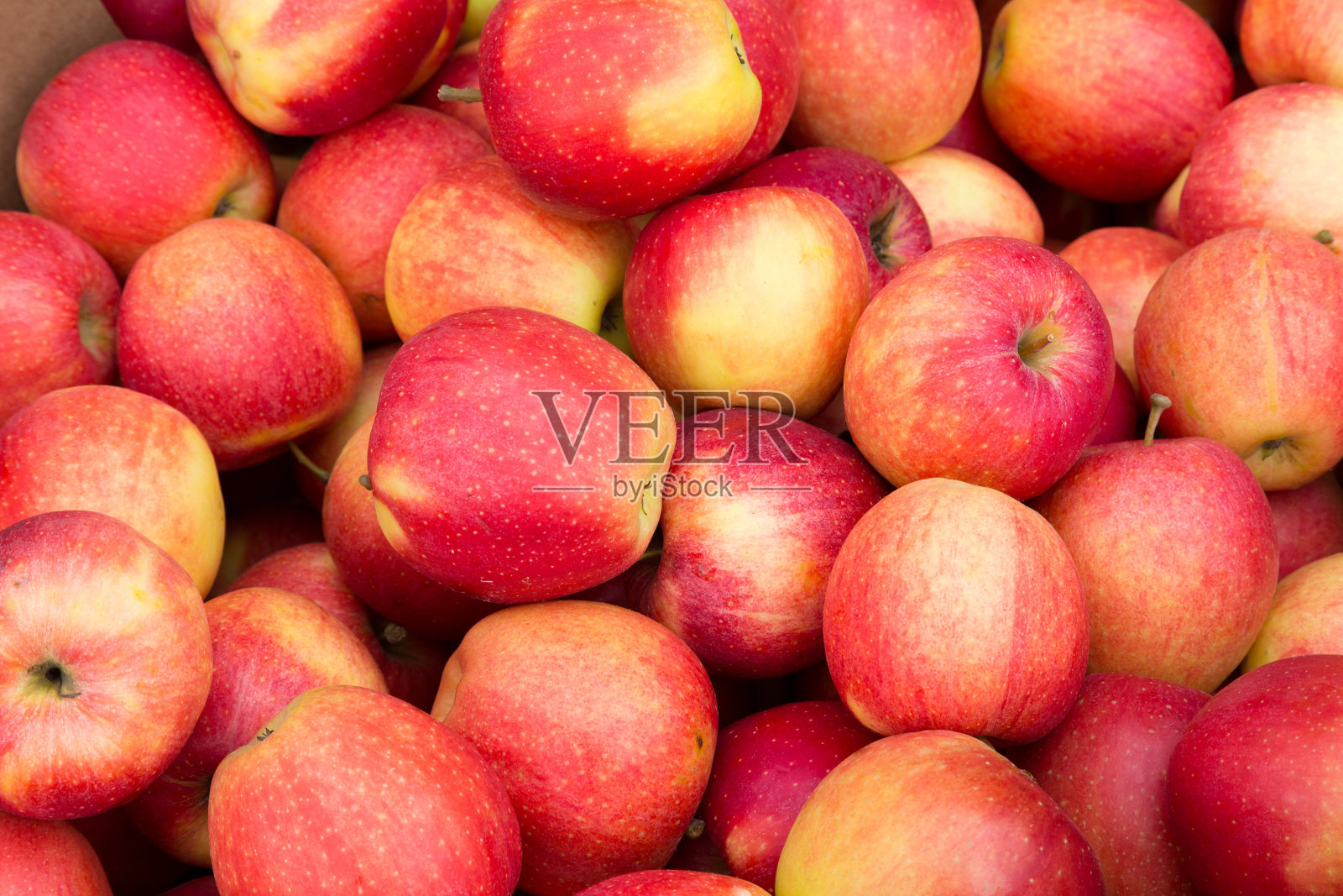 粉红色的苹果照片摄影图片